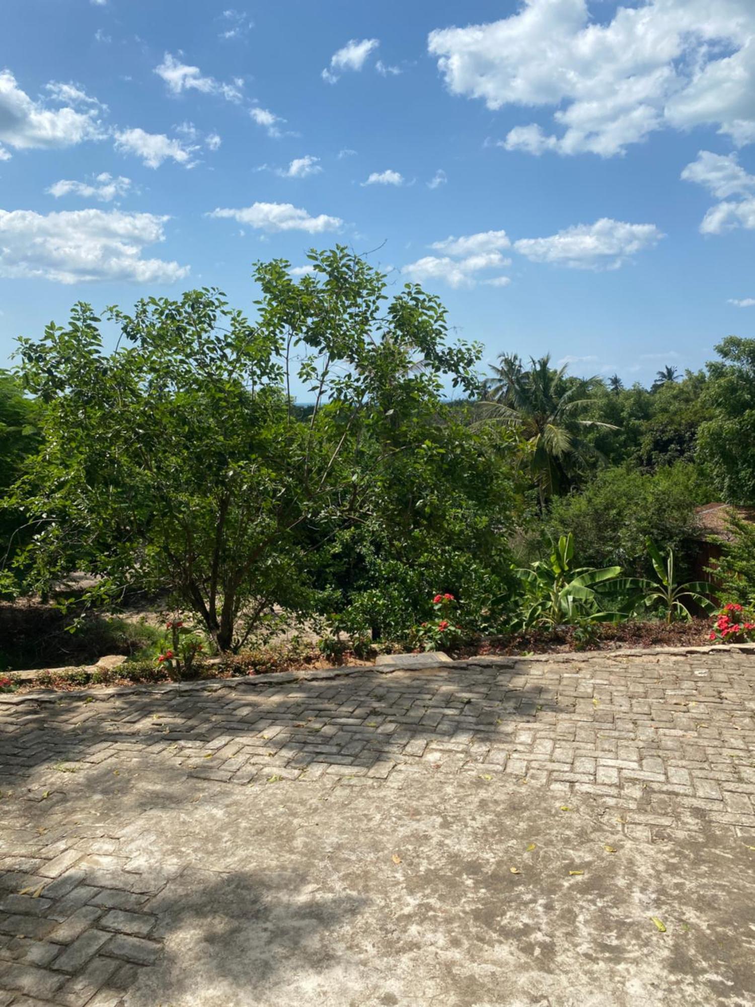Mikoko Beach Lodge Bagamoyo Zewnętrze zdjęcie