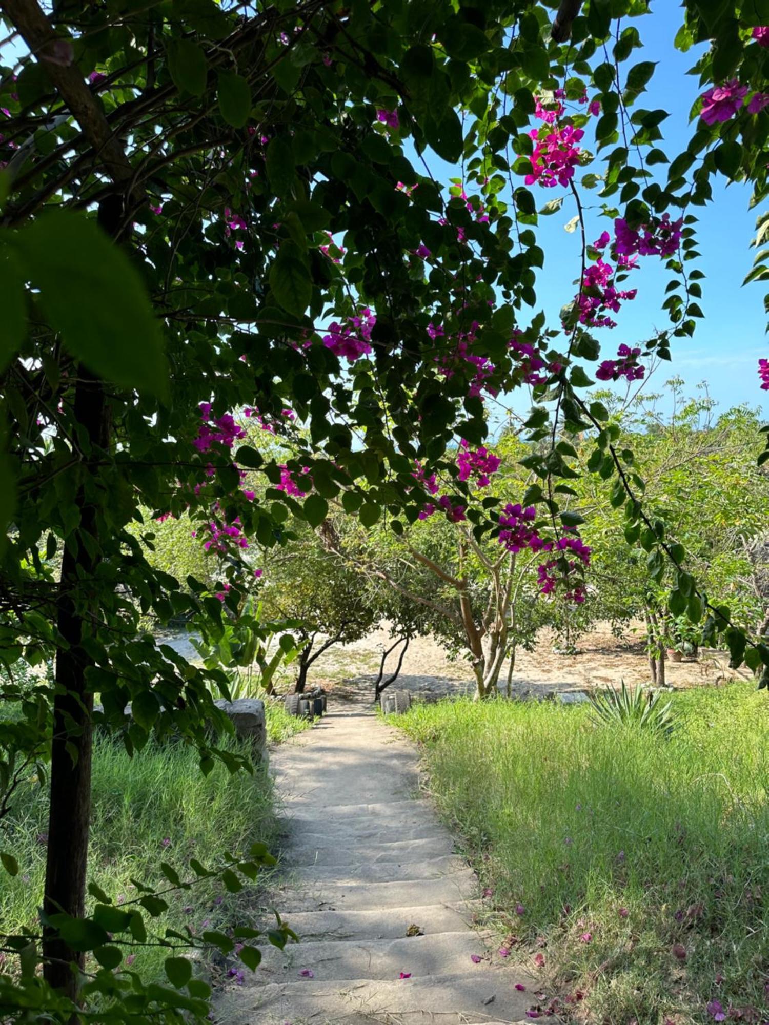 Mikoko Beach Lodge Bagamoyo Zewnętrze zdjęcie